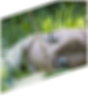 Ahrensburg Sex Kontakte Stella
