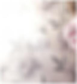 Sexdating in Halberstadt Antonia