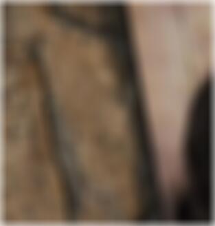 Sexdating in Ingolstadt Rosalinda