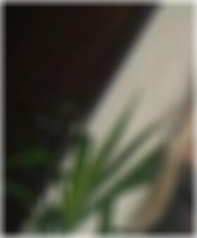 spontane Sextreffen Lübeck Leah3610