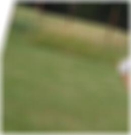 Swinger Kontakte Bad Oeynhausen Lilly