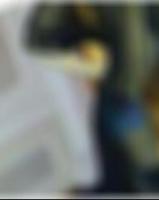 diskrete Sexkontakte Kempen Sharee9b6
