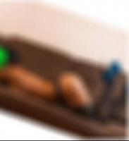 Sexpartner finden in Zweibrücken Lilly